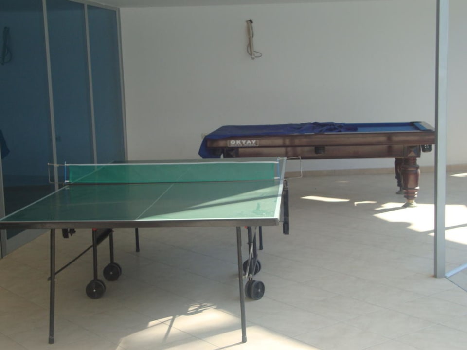 Tischtennis und Billiard Blue Diamond Alya