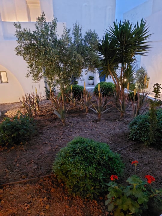 Gartenanlage Knossos Beach Bungalows Suites Resort & Spa