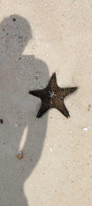 Strand Hotel Riu Jambo