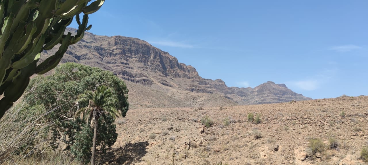 Ausblick Bio Finca - Las Tenerías