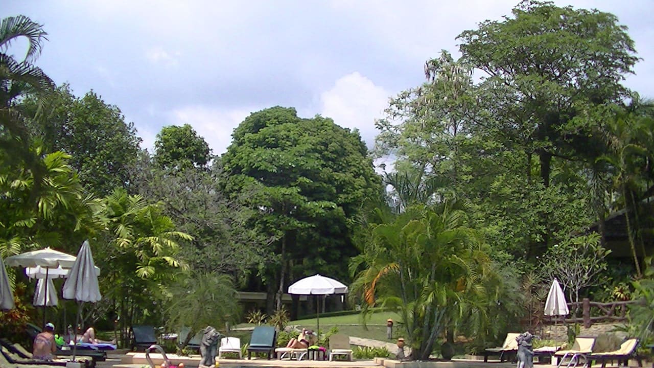 Blick auf den Pool The Leaf on The Sands by Katathani
