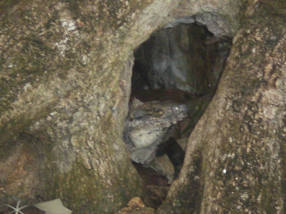 Gibt's an jeder Ecke Sandos Playacar Beach Resort