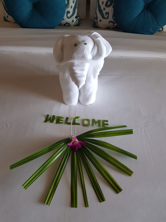 Zimmer Moracea by Khao Lak Resort