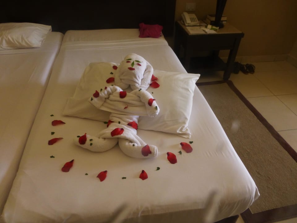 Zimmer Jaz Dar EL Madina