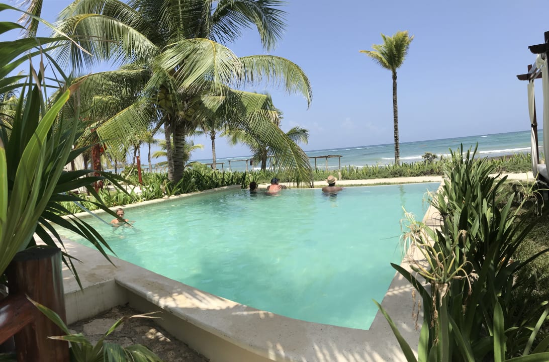 Pool Akumal Bay Beach & Wellness Resort