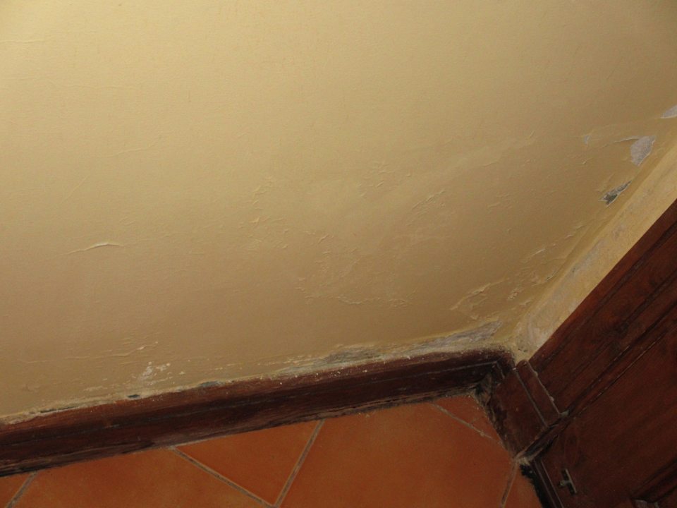 Schimmel im Zimmer Grand Makadi