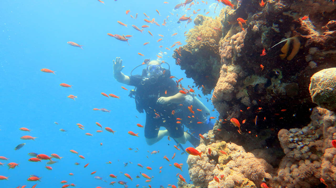 Strand Pickalbatros Aqua Park Resort - Sharm El Sheikh