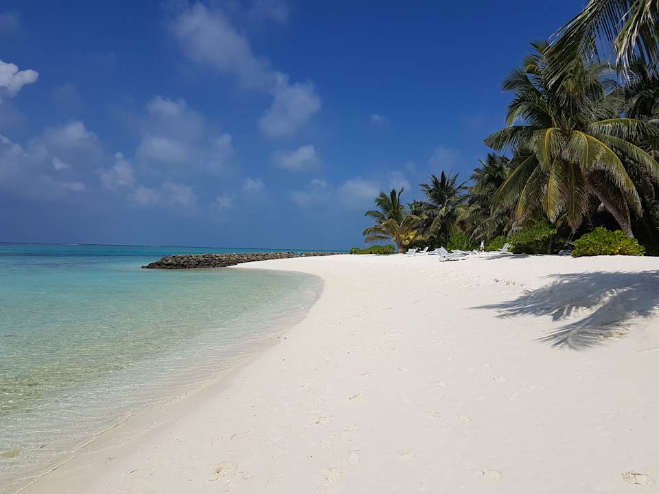 Strand Summer Island Maldives