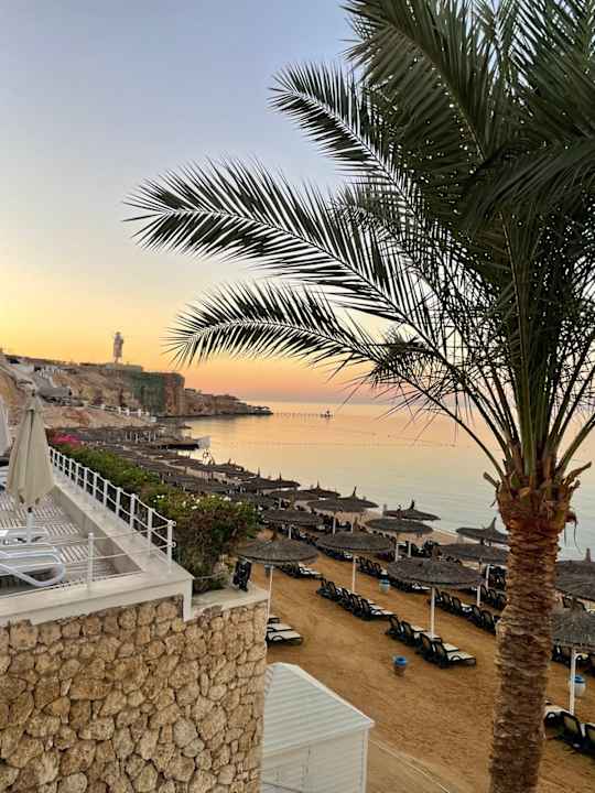 Pool Reef Oasis Beach Resort