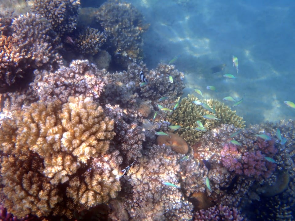 Sport & Freizeit Jaz Makadi Oasis Resort