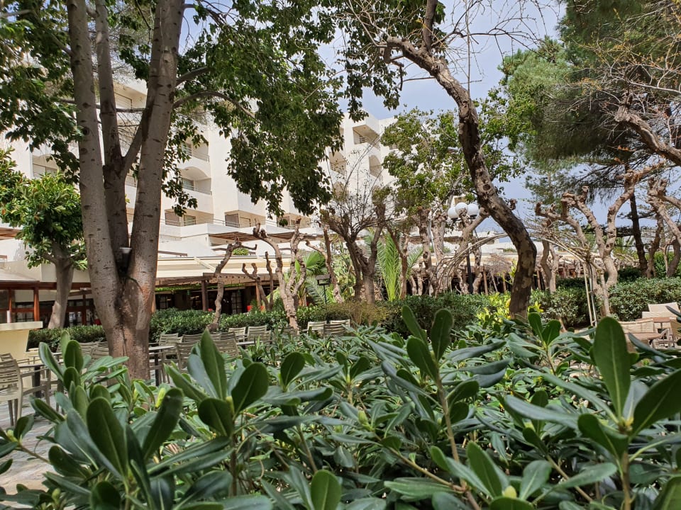 Gartenanlage Apollonia Beach Resort & Spa