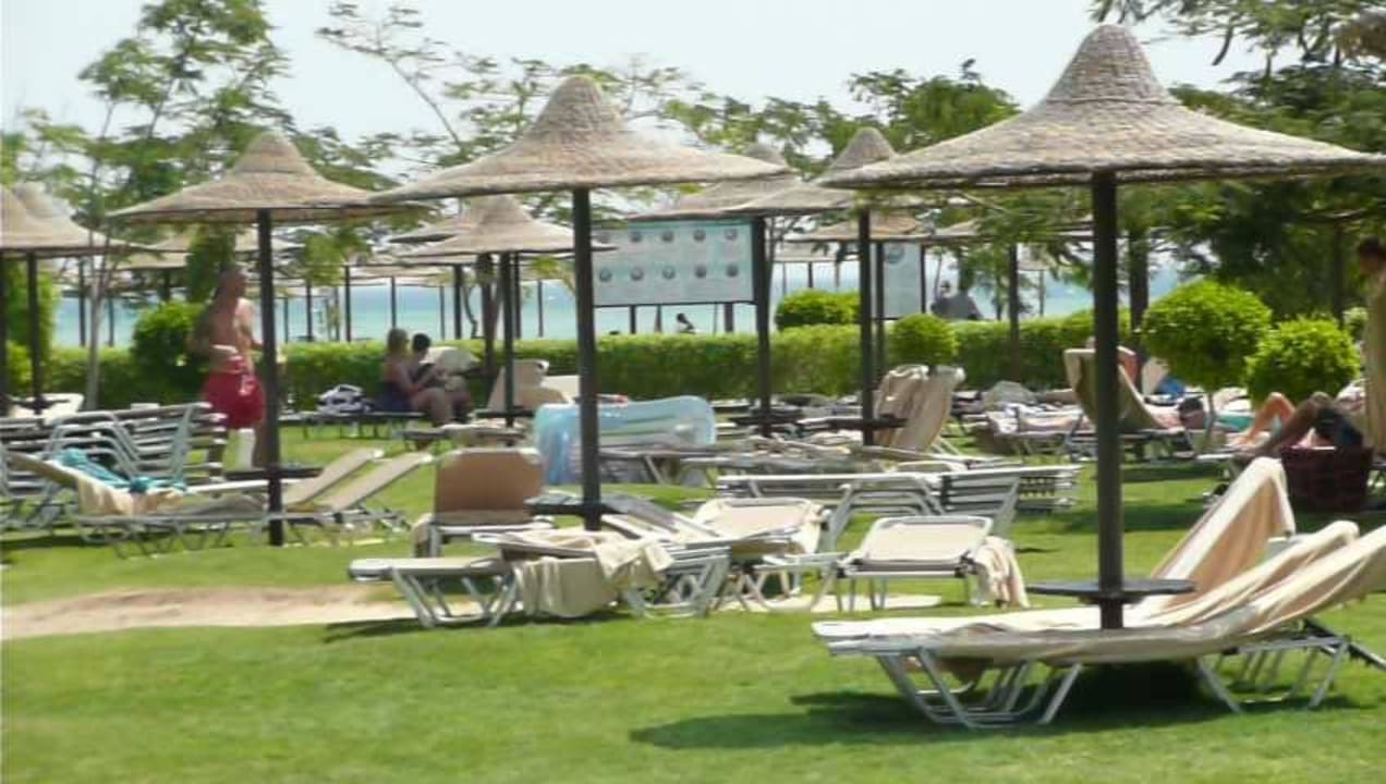 Grünanlage zwischen Pool und Meer JAZ Aquamarine Resort