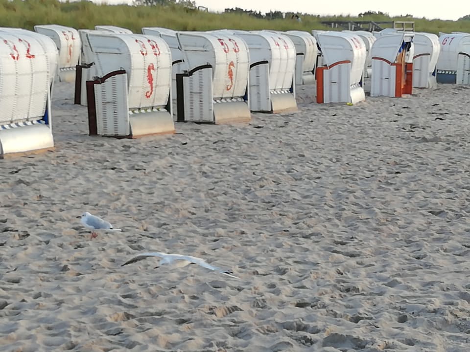 Strand Ferienwohnungen Ferienpark Weissenhäuser Strand