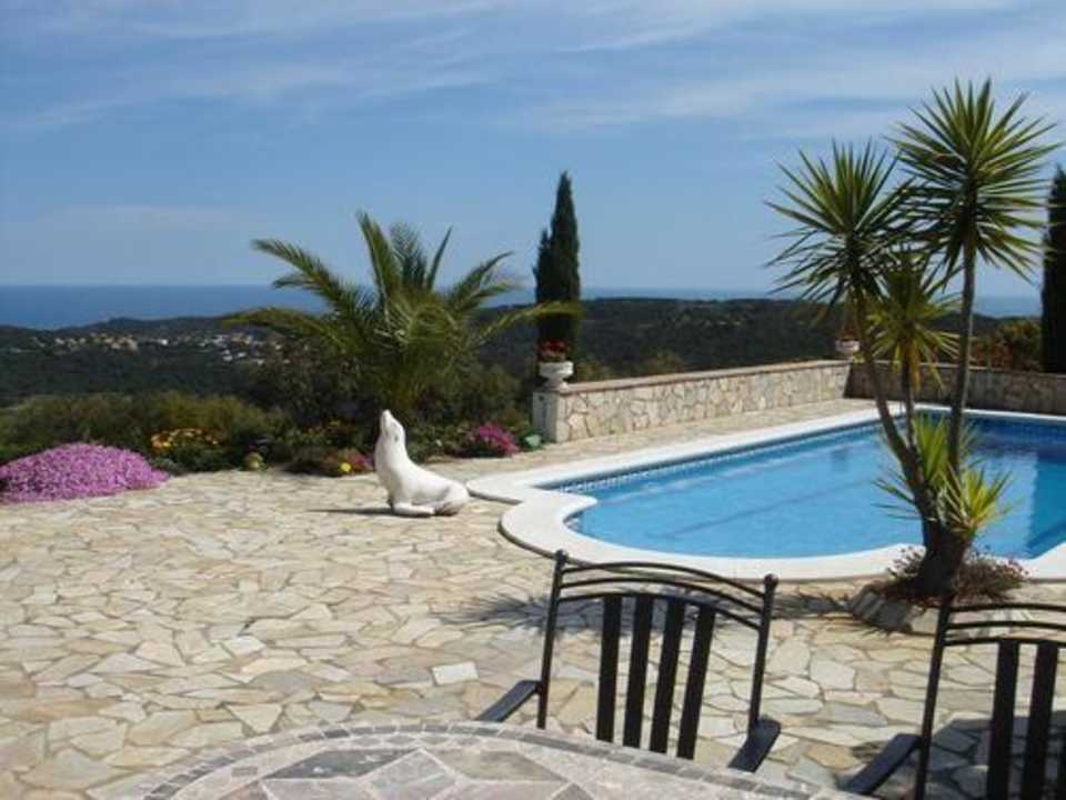 Unser lieber Robby Ferienhaus Casa Jaro