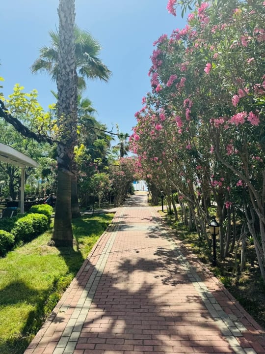 Gartenanlage Seaden Sea World Resort & Spa