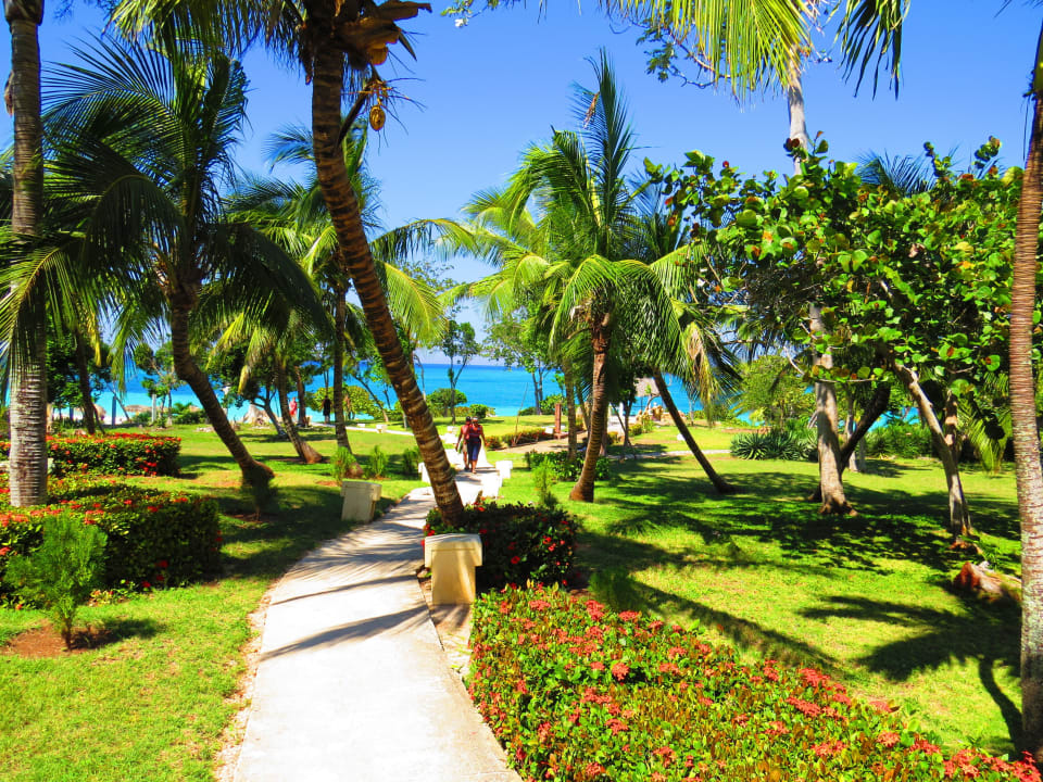 Garten Sol Rio De Luna y Mares