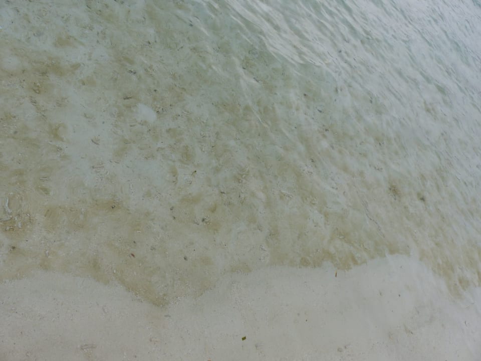 Strand Meeru Maldives Resort Island