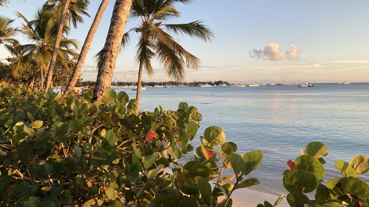 Ausblick Secrets La Romana Resort & Spa - Adult Only