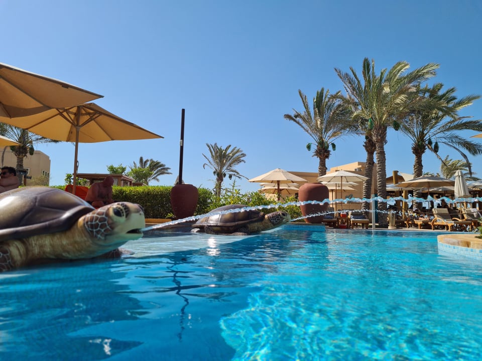 Pool Saadiyat Rotana Resort &  Villas