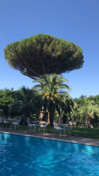 Pool Park Hotel Villaferrata