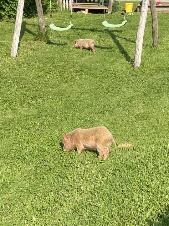 Gartenanlage Ferienhof Uebelhör