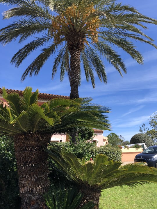 Gartenanlage TH San Teodoro - Liscia Eldi