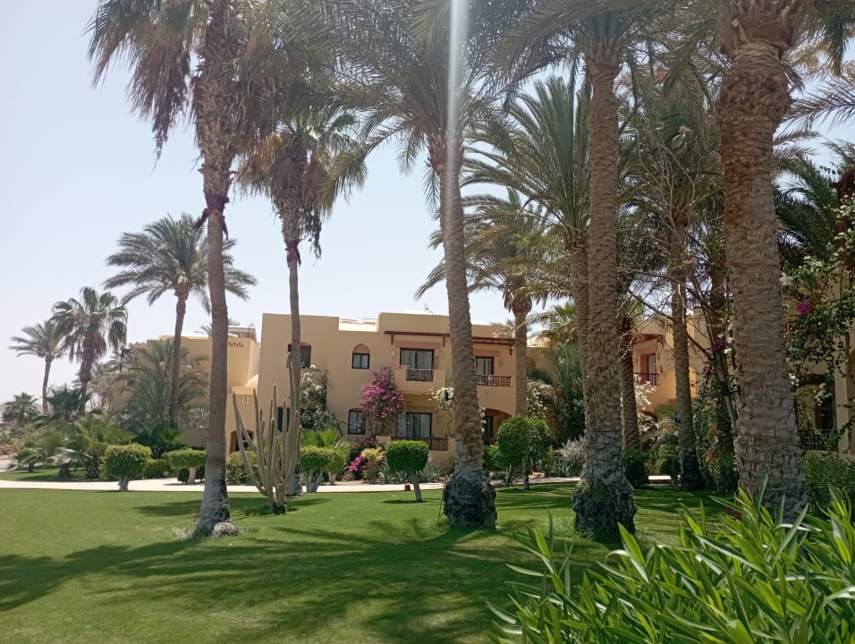 Außenansicht Steigenberger Coraya Beach - Adults only