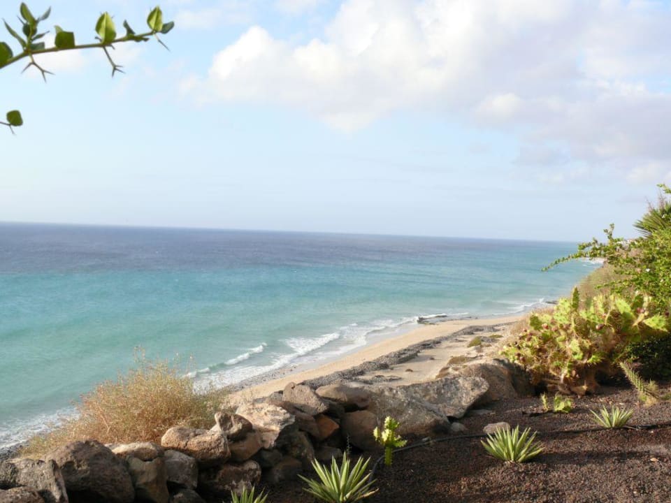 Beim Frühstück Marina Playa Suite Hotel