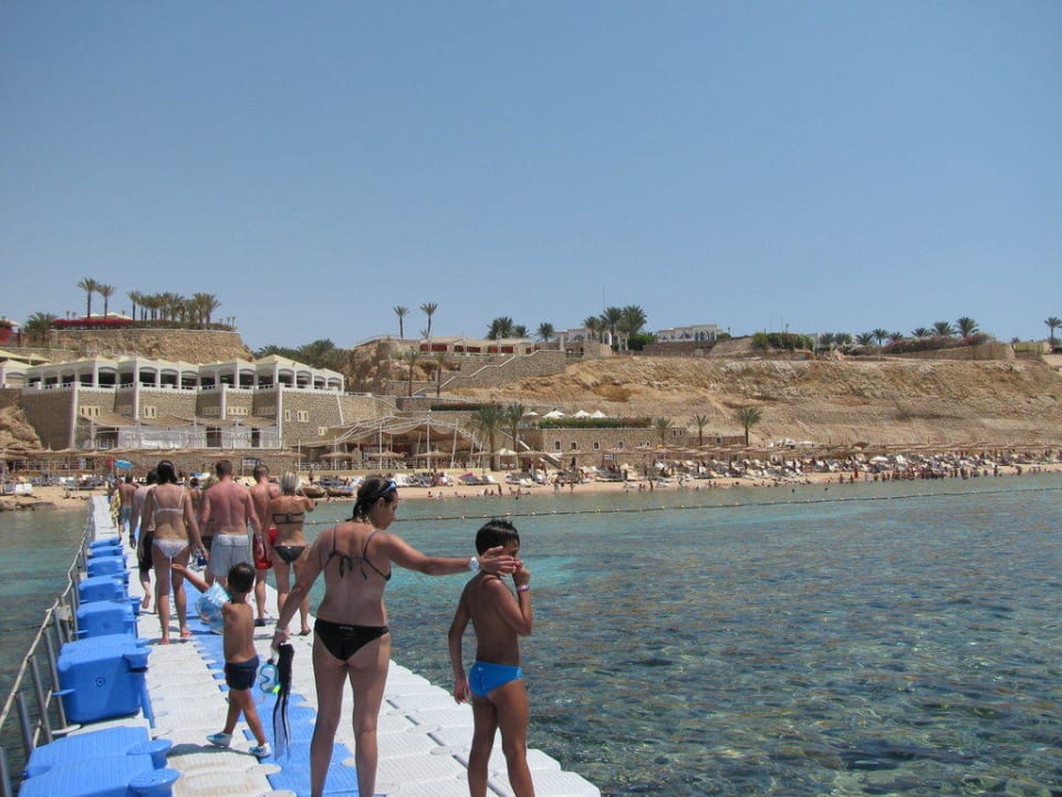Blick vom Wasser auf den Strand Hotel Reef Oasis Palms