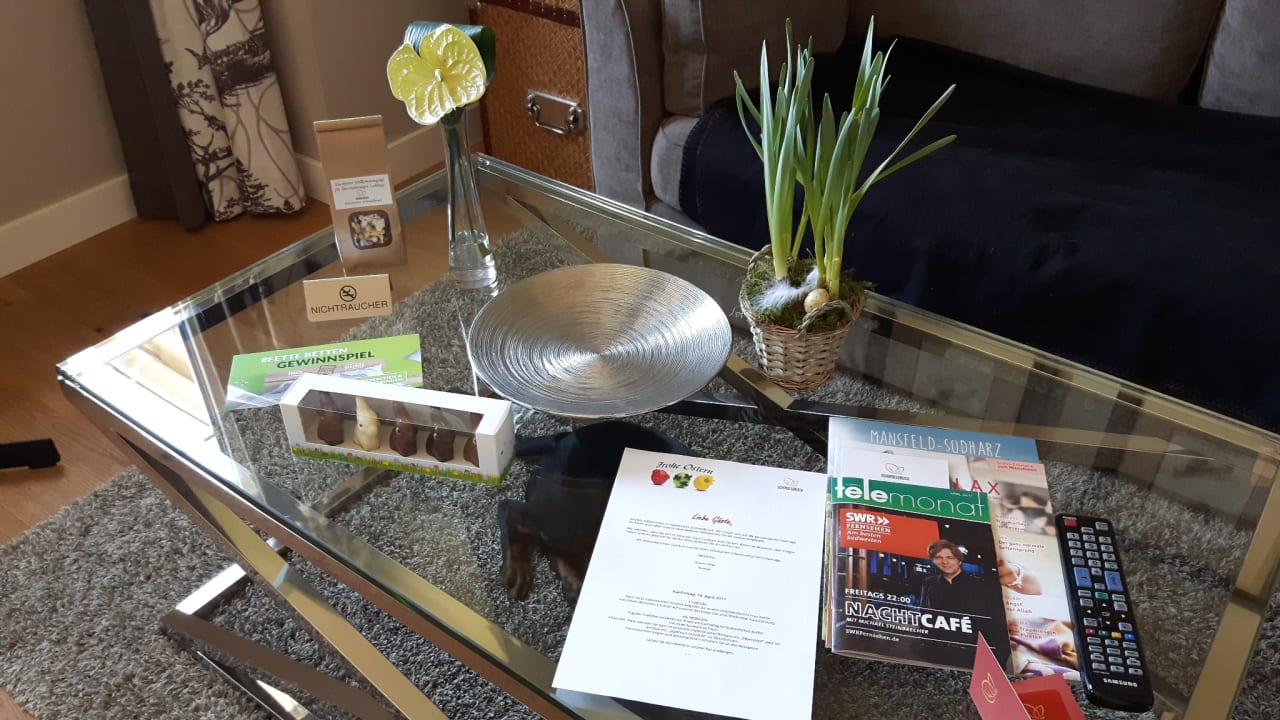 Zimmer Naturresort & Spa Schindelbruch