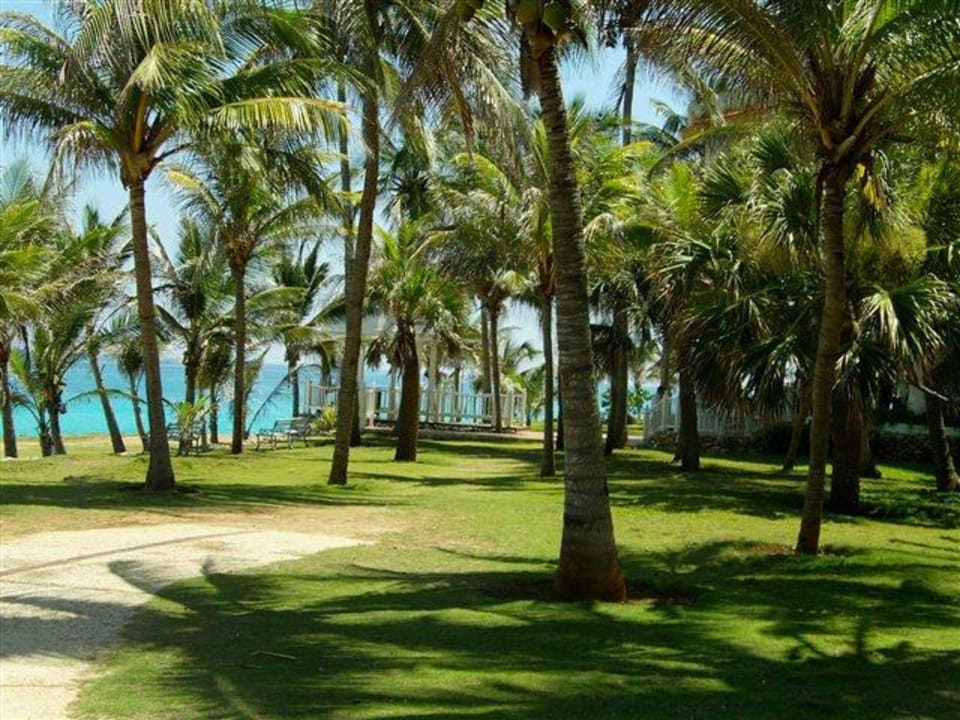 Der Garten ums Hotel Hotel Melia Varadero
