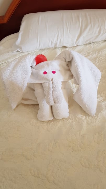 Zimmer Hipotels Hipocampo Playa