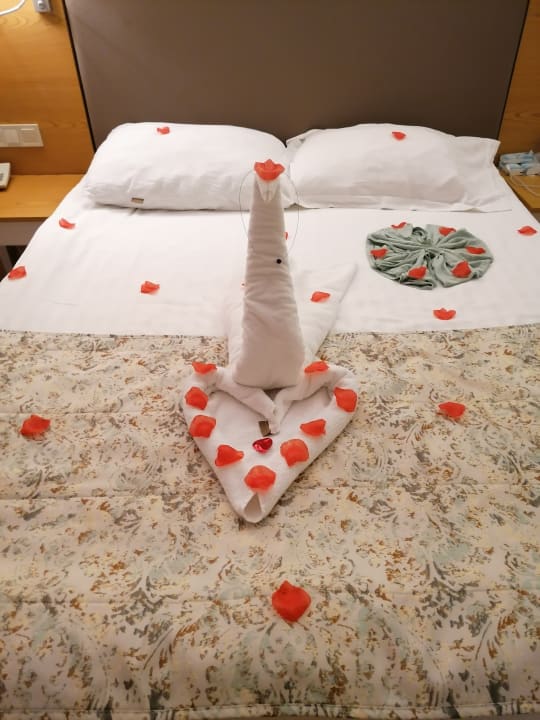 Zimmer Glamour Resort & Spa