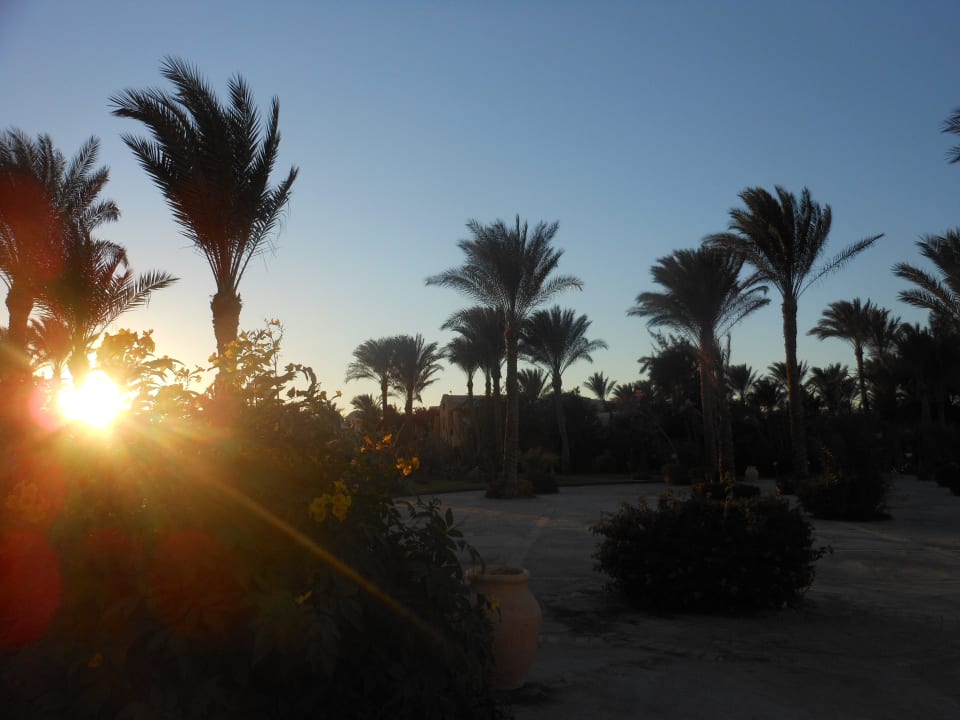 Am Strand Jaz Makadi Oasis Resort