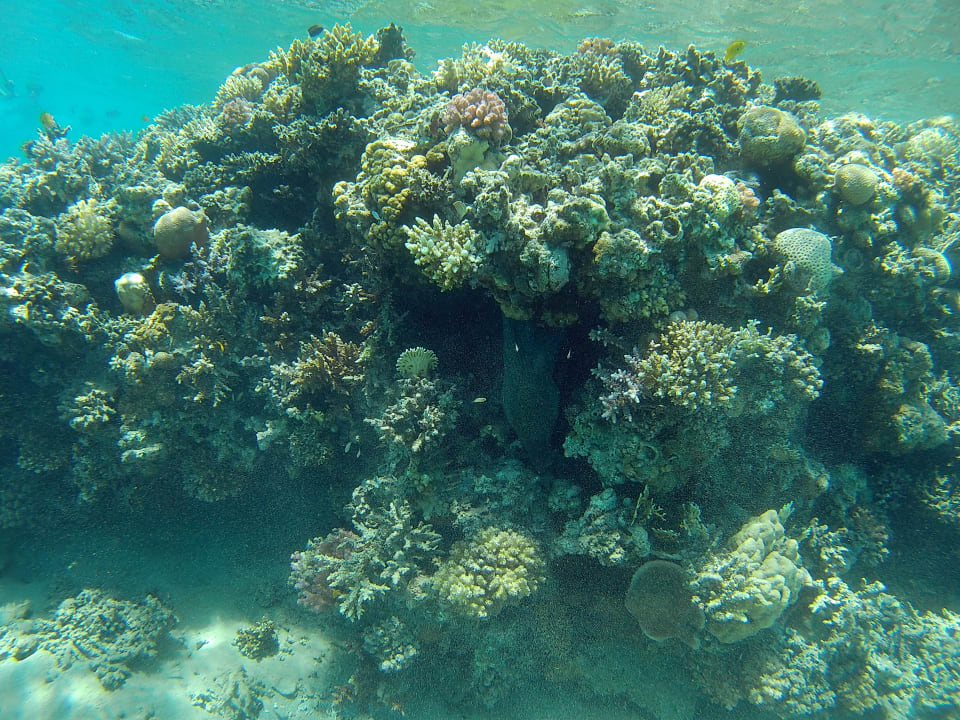 Sport & Freizeit Jaz Makadi Oasis Resort