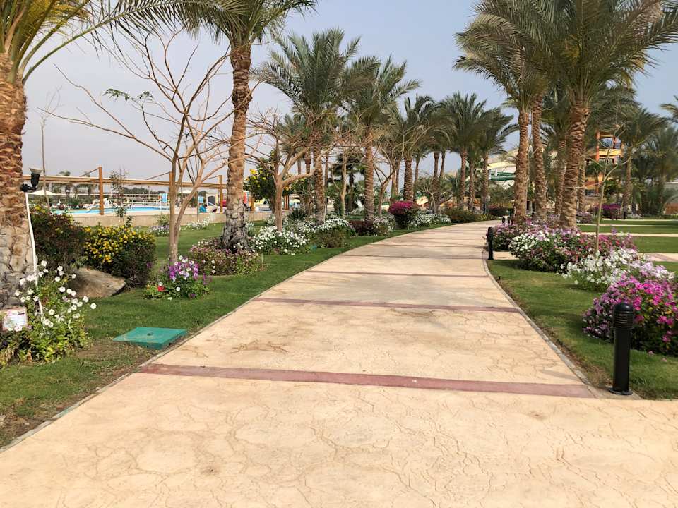 Gartenanlage Malikia Resort Abu Dabbab