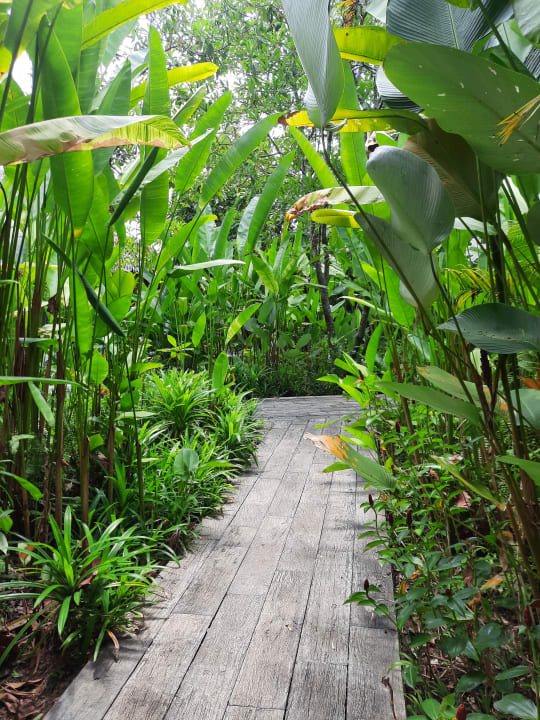 Gartenanlage Bangsak Village