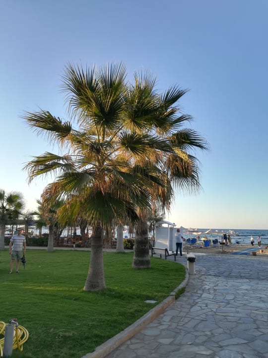 Ausblick Calimera Sirens Beach