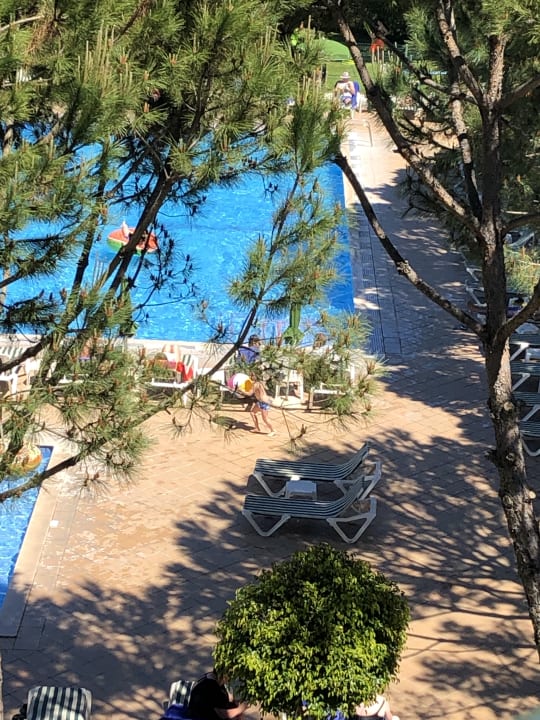 Pool The Patio Suite Hotel