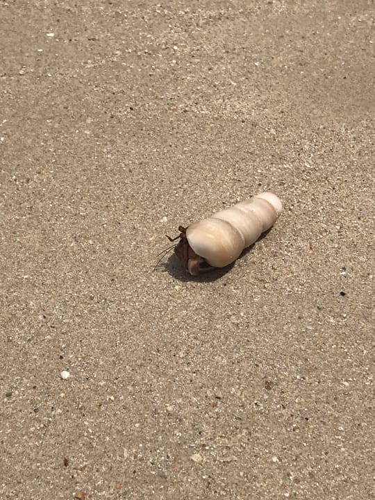 Strand Kantary Beach Hotel - KHAO LAK