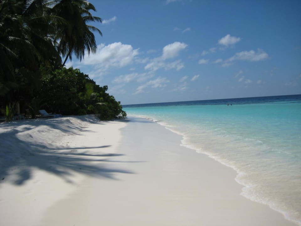 Strand links vom Bootssteg ( Ostseite ) Angaga Island Resort