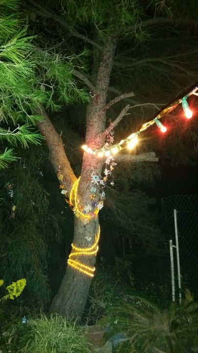Albero vicino casa addobbato per Natale Masseria Porto Badisco