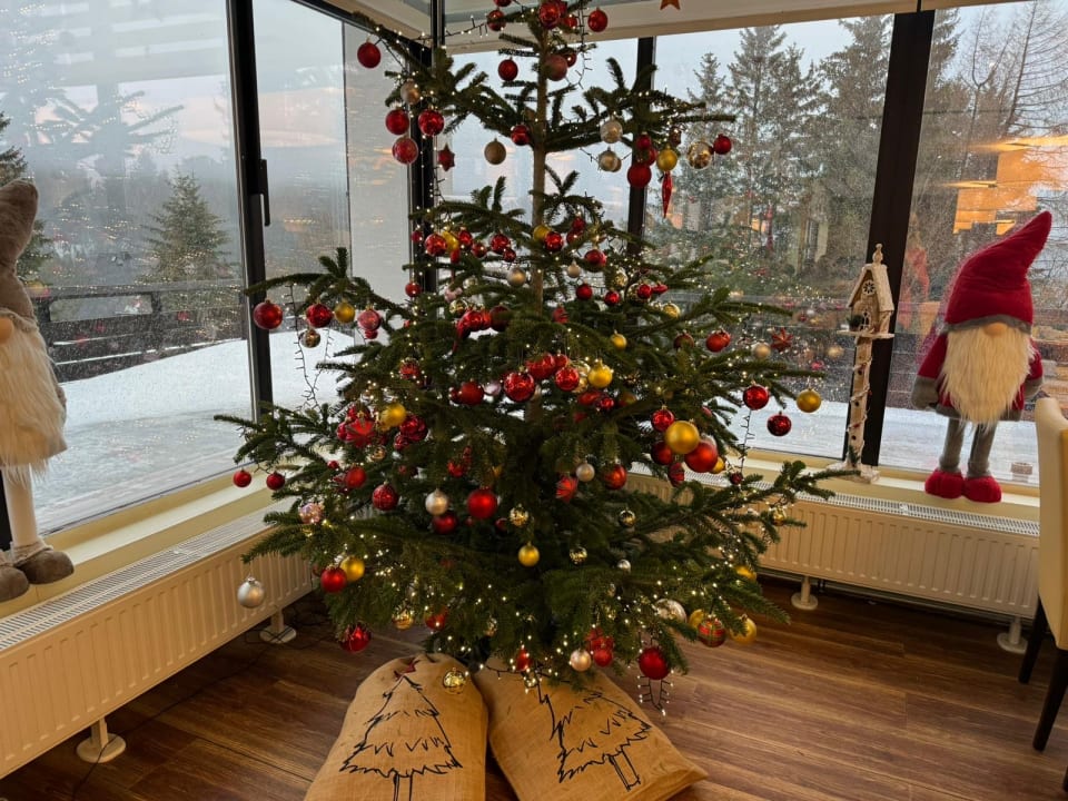 Sonstiges AHORN Panorama Hotel Oberhof