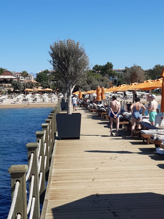 Strand Arum Barut Collection