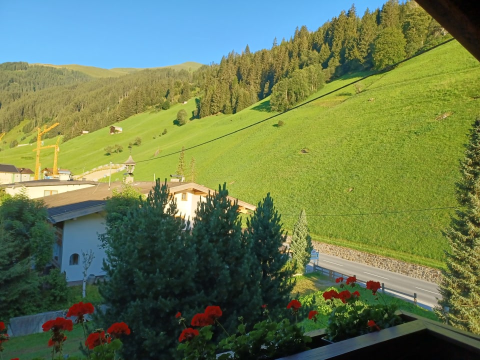Ausblick Gästehaus Alpenland