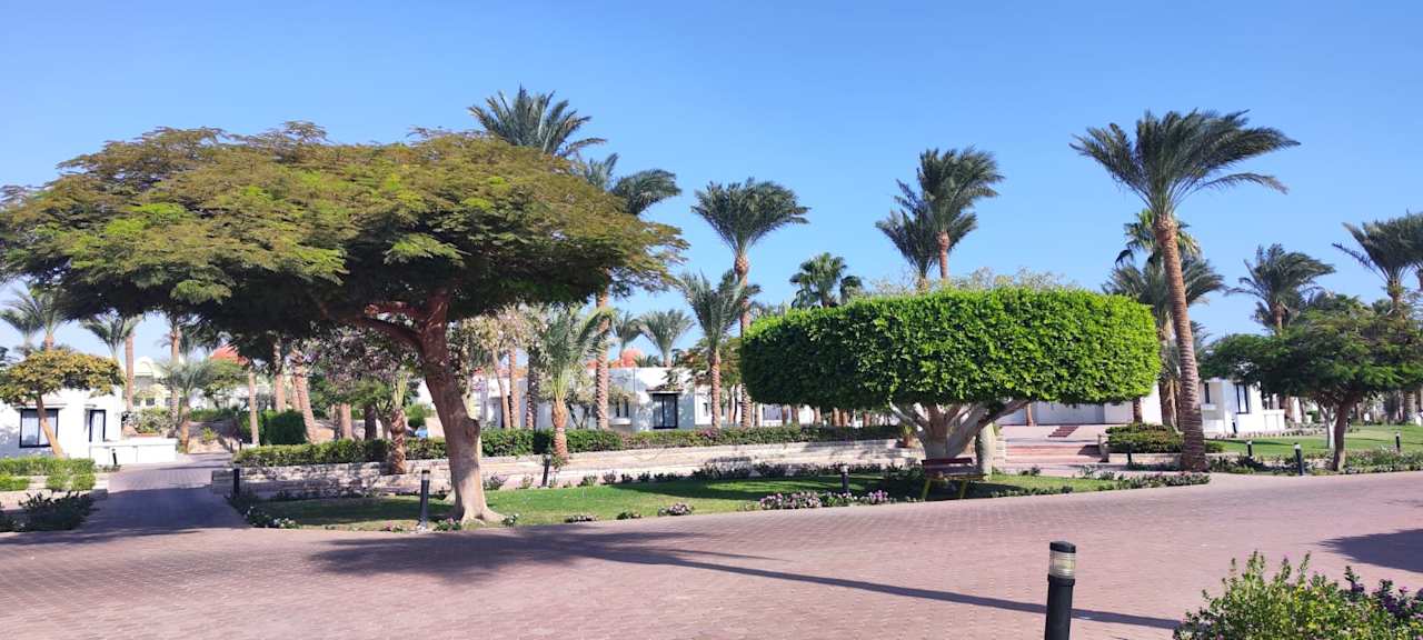 Ausblick Pharaoh Azur Resort