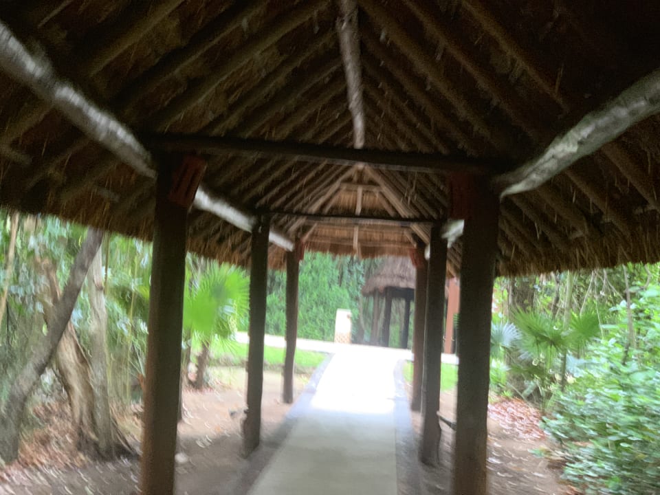 Gartenanlage Grand Palladium Kantenah Resort & Spa