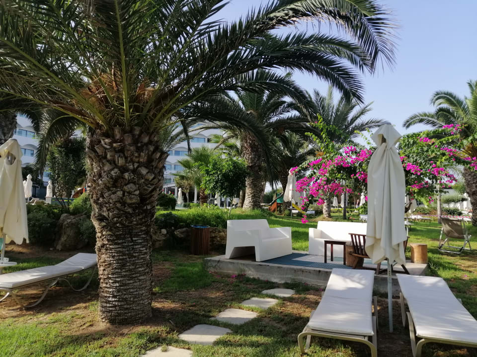 Gartenanlage Crystal Springs Beach Hotel