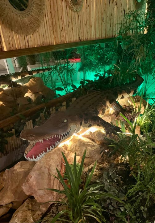 Sonstiges Hotel Kiwengwa Beach Resort