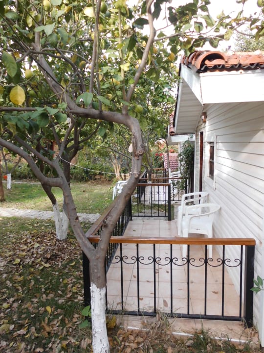 Leda Beach Side 11/2014 Leda Beach Hotel